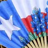 Fan - Texas Pride