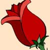 Christmas Rose